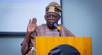 2023:Tinubu Gets Diaspora Support For Presidential Bid