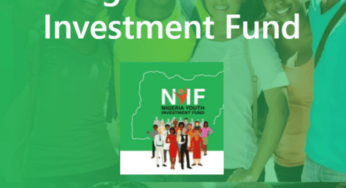 N75bn Youth Fund: Nigerian Youth Investment Fund – Eligible Businesses