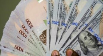 Naira crashes to N1,534 against US dollar at foreign market