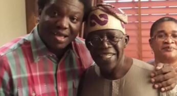 Tinubu: APC To Punish Ayodele Adewale Over Missing Bullion Van Comment