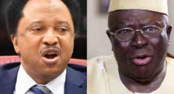 Shehu Sani To Adebanjo: Stop Threatening Us With Breakup Of Nigeria If Obi Doesn’t Win In 2023