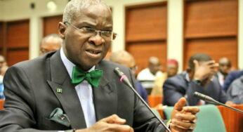 Naira Redesign: Buhari Didn’t Disobey Supreme Court , Fashola Tackles Keyamo