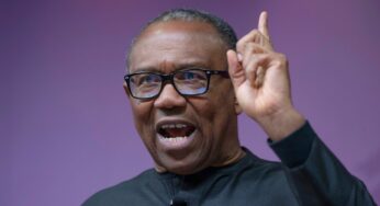 Watch Moment Peter Obi Was Saved From A Man Who Rushed To ‘Attack’ Him(Video)