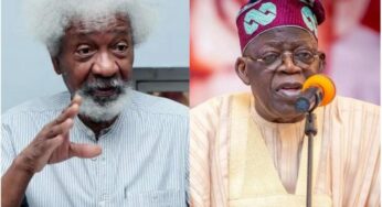 2023 Presidency: Soyinka Disowns Social Media Post Endorsing Tinubu