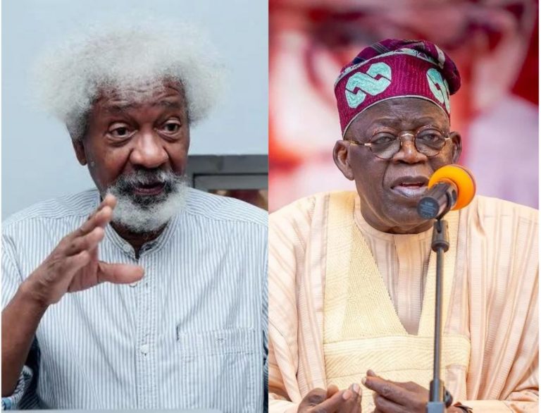 Wole Soyinka Visits Tinubu With Seven-Point Agenda, Reserves Assessment