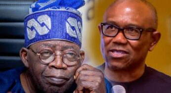 Former Minister Reacts As Prophet Predicts Peter Obi, Not Tinubu Will Be Sworn In As President Of Nigeria