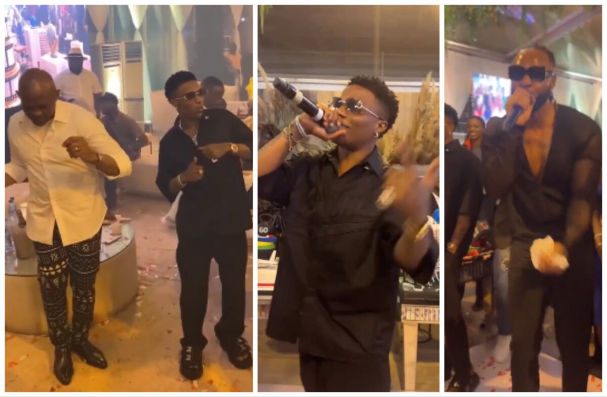 Tony Elumelu @60: Wizkid and Flavour ‘wow’ guests with thrilling performance at birthday shindig