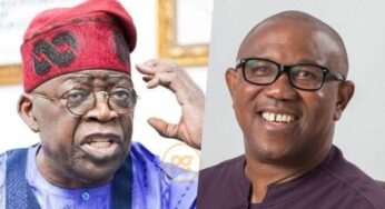 LG autonomy: Break your silence, commend Tinubu – Presidency tackles Peter Obi