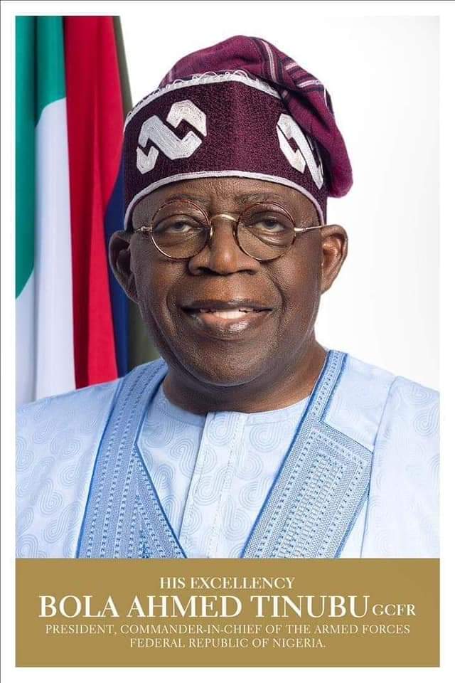 Ways and Means: Why Tinubu must not sign amended CBN Act -CSJ