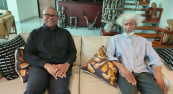 LP knows Peter Obi lost 2023 polls but they want to force lies on Nigerians – Wole Soyinka