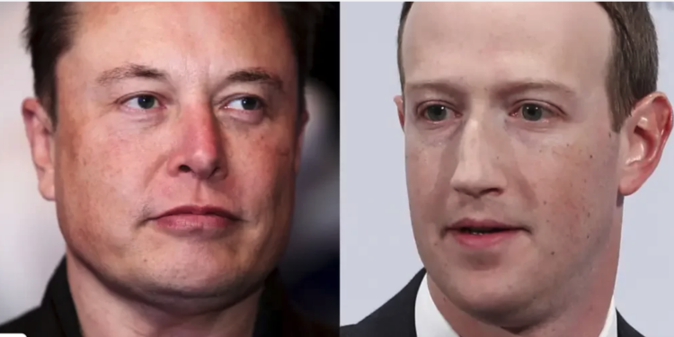 World billionaires Elon Musk, Mark Zuckerberg agree to epic cage fight