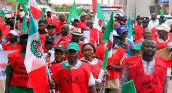 Breaking: NLC To Embark On Indefinite Strike, Says FG Failed To Meet Demands