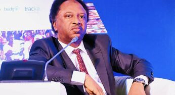 Shehu Sani Reveals Parties That Will Benefit From Obaseki, Shaibu’s War