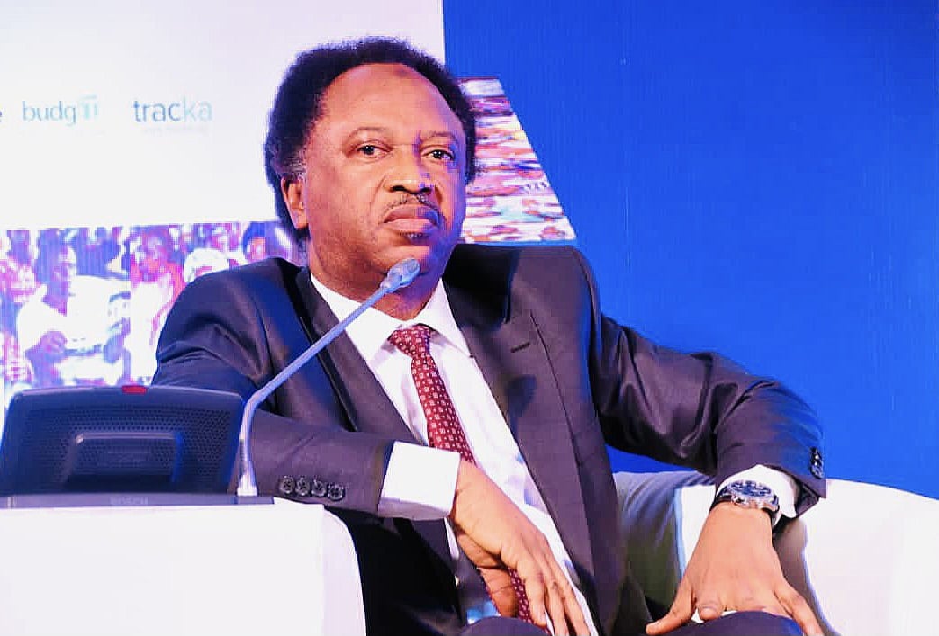 Shehu Sani – Why PDP Must Not Allow APC To Nominate Minority Leader