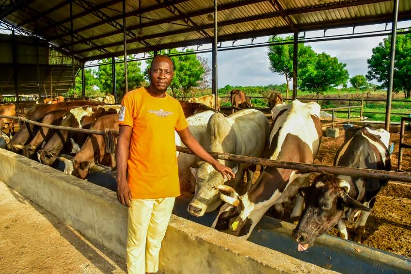 FrieslandCampina WAMCO: Langat Speaks On Revolutionizing Dairy Sector, Benefits