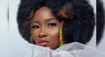 BBNaija All Stars: Ilebaye blames alcohol for brawl with CeeC, Doyin