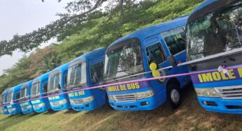 Subsidy removal: Palliative buses commence operation in Osun