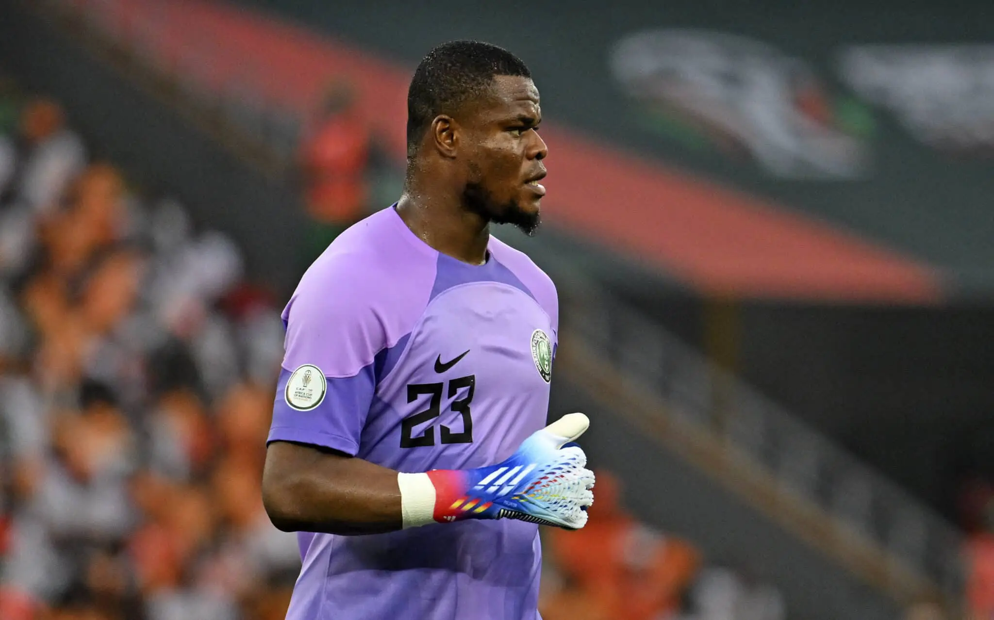 NANS threatens South African businesses in Nigeria over threat to Eagles goalkeeper Nwabali