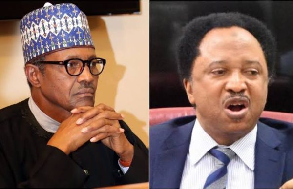 Nigeria paying for Buhari’s mistakes – Shehu Sani