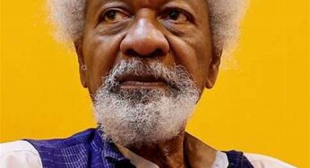 “Let Nations Die That Humanity May Live”: Soyinka Advocates Decentralisation