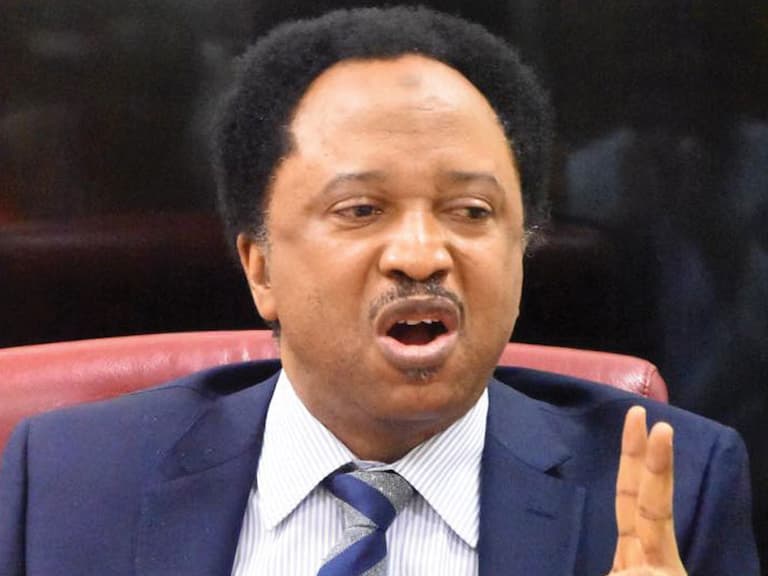 Wike wouldn’t be Governor, minister without me, Ozekhome, others – Shehu Sani