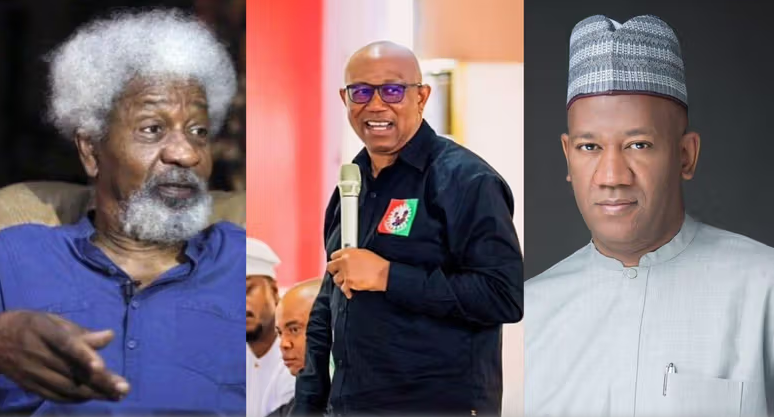 ‘Intellect Doesn’t Give You The Right To Insult Anybody’ – Baba-Ahmed Slams Soyinka Over Comment On Obi