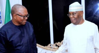 Peter Obi Visits Atiku, Lamido In Abuja (Photos)