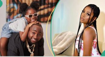 Davido Drags Baby Mama,Sophia Momodu To Court(See Reason)