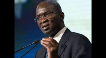 The Idea Of Free Market Economy Is Illusionary – Fashola