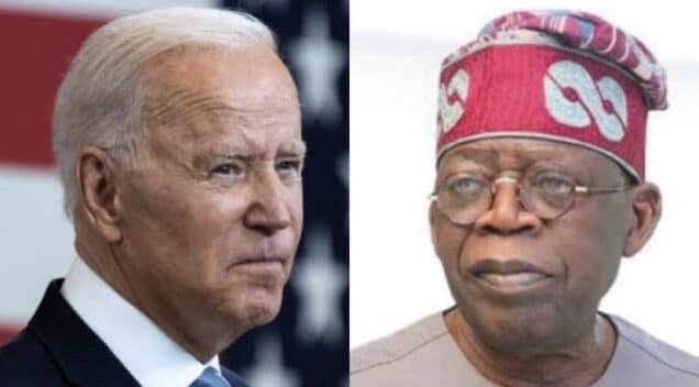 Nigeria deserves permanent UN security council seat – Biden