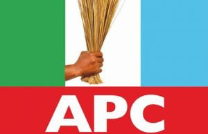 The Decline Of PDP Is How APC Too Dies – Abimbola Adelakun