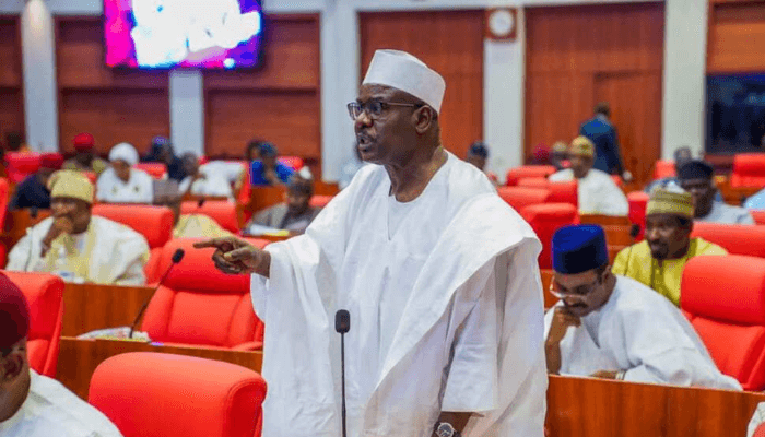 Let Americans take over Nigeria’s Mandara mountains— Ndume pushes for US military base in Borno