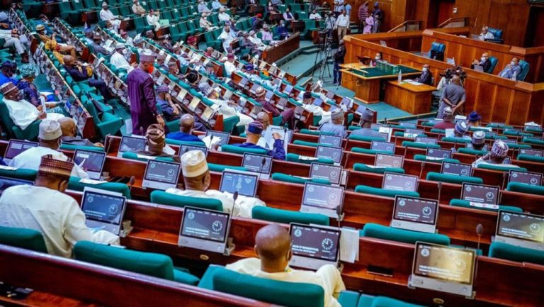 Reps Withdraws Its Own State Police Bill, Considers Tinubu’s Proposal